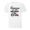 Fun Disney Themed Birthday Girl TShirts - Printwell Custom Tees